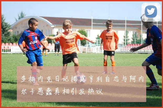 多梅内克日记揭露亨利自恋与阿内尔卡愚蠢真相引发热议