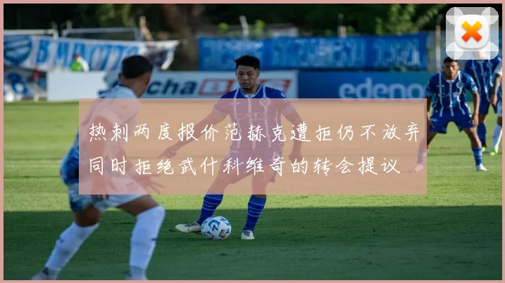 热刺两度报价范赫克遭拒仍不放弃同时拒绝武什科维奇的转会提议
