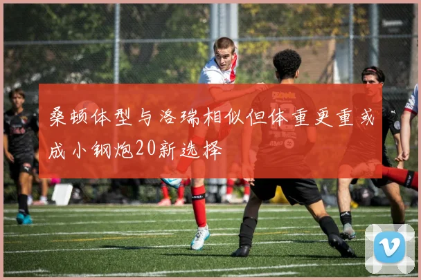 桑顿体型与洛瑞相似但体重更重或成小钢炮20新选择
